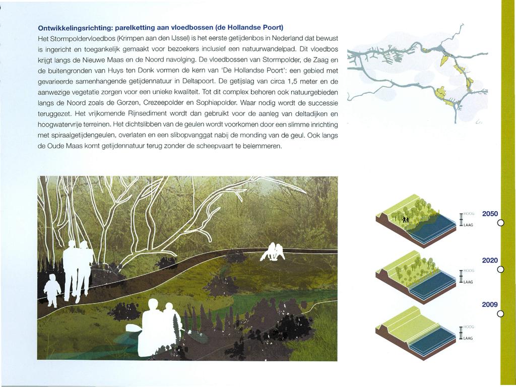 Ontwikkelingsrichting: parelketting aan vloedbossen (de Hollandse Poort) Het Stormpoldervloedbos (Krimpen aan den l.