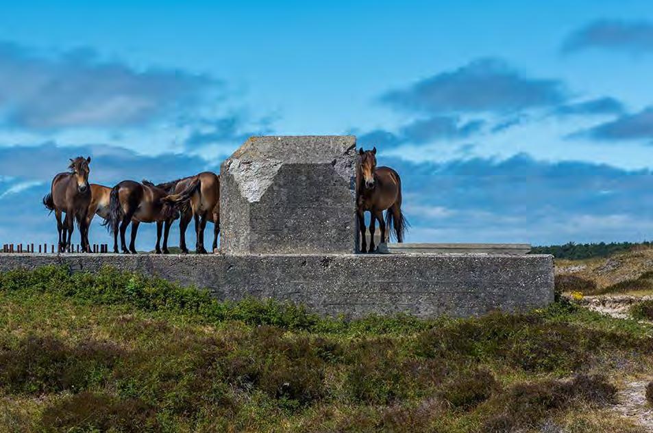 zeilen in het Nationaal Park. Een aantal Parken heeft ook een digitaal boekingssysteem voor excursies en/of scholenprojecten.