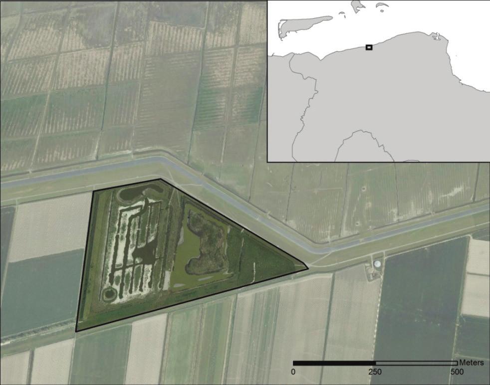 Sovon-rapport 2016/48 2. Methode 2.1. Gebied De Klutenplas is een binnendijks brakwatergebied van Het Groninger Landschap aan de Groninger Noordkust (figuur 1).