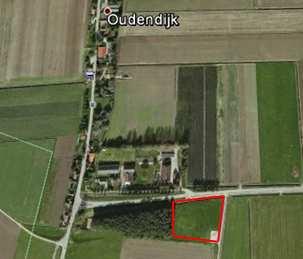 47 Oud-Beijerland, De Staart (RD: 089-427) Oudendijk - Hoekse weg Dit is een klein, door een bomengroep begrensd perceeltje grasland met daarin een plasje (ca. 1 ha).