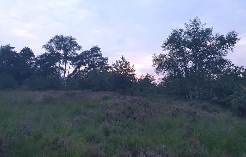 En plotseling hing er opeens enkele seconden een Nachtzwaluw boven ons en verdween weer even geruisloos als hij was verschenen.