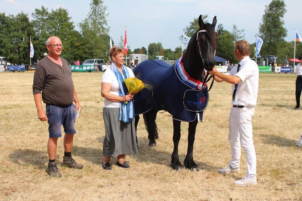 Kampioenschap 4 jaar en oudere Merries Aanvang: 16:00 Baan: Hoofdring Jury: H. Draaijer, J. W. Boersma, U.