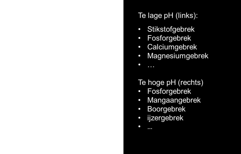 Organische stof heeft ook een hoog adsorptievermogen waardoor de CEC (kationenuitwisselingscapaciteit) van de bodem toeneemt en nutriënten minder snel zullen uitspoelen.