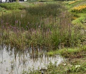 roodbruin, keiformaat in keperverband en elleboogverband 0 2 4 6 8 10m hemelwater