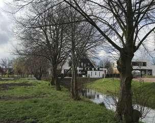 geven karakter aan het plangebied hagen van haagbeuk op de erfgrenzen laan