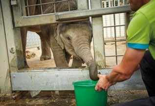 Je bent een echte natuurliefhebber en hebt een groot hart voor dieren. Die passie en je kennis kun je ook overbrengen op anderen.