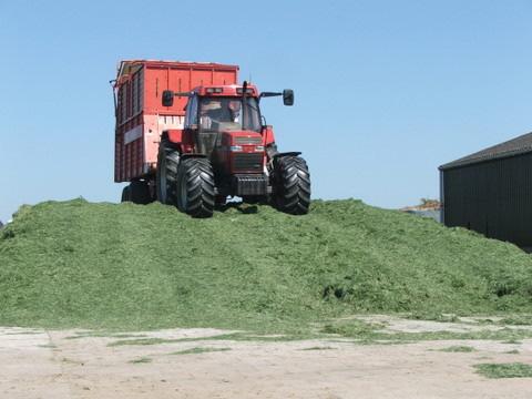 Kuiluitslagen eerste en tweede snede 2013 Via BLGG zijn de gemiddelde kuiluitslagen van 2013 weer bekend geworden.