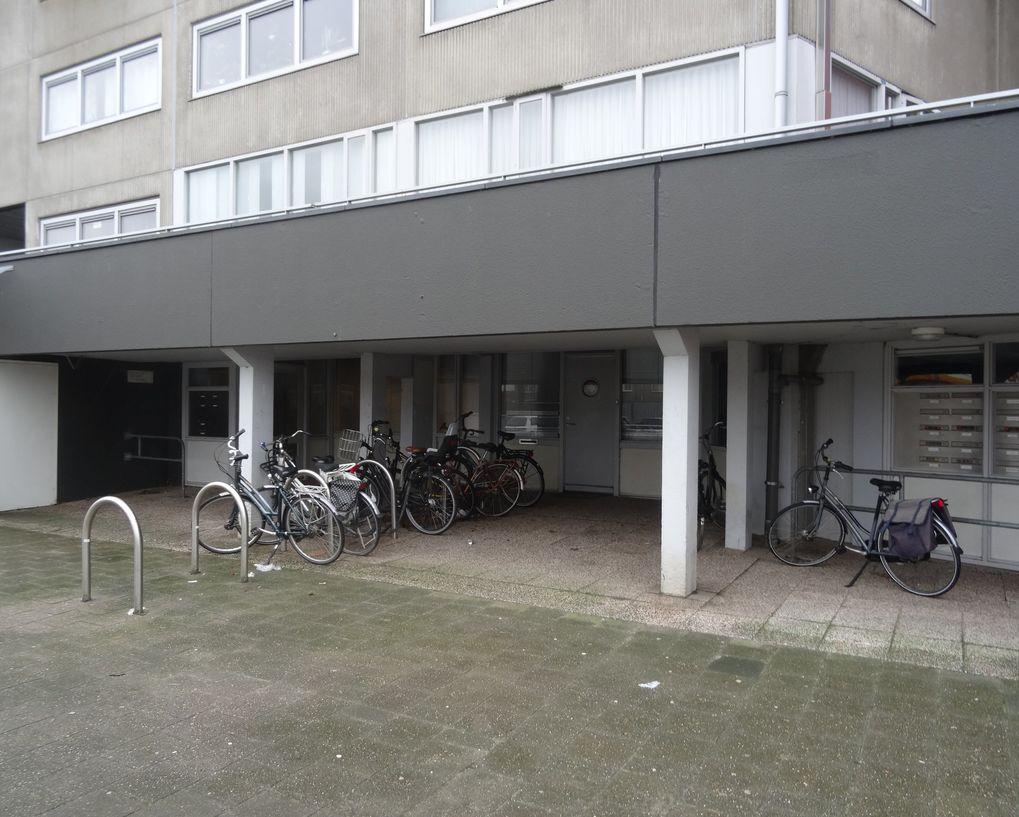 Kenmerken Overdracht Buitenterrein Huurprijs 90,- per m² per jaar Ligging Woonwijk Dauwendaele excl.