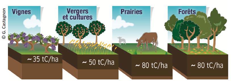 Koolstofopslag: Landgebruik Akker Gras Bos ADEME 2014 Meer info: