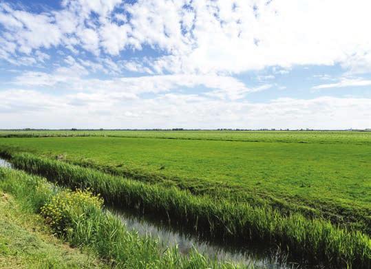 landschap van de Beemster.