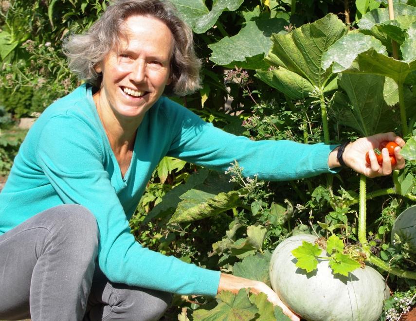 Het Techniekmenu kan helpen met de subsidieaanvraag. Nieuw aanbod rond voeding en moestuinieren! Het aanbod van het Plusmenu is dit schooljaar weer uitgebreid met diverse lesmodules en projecten.