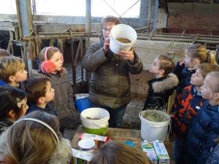 Boerderij excursie Kasteelhoeve Beleven waar de melk vandaan komt en hoe die wordt gemaakt Voor groepen 3 en 4 is een gave excursieles beschikbaar naar zuivelboerderij De Kasteelhoeve in Voorschoten.