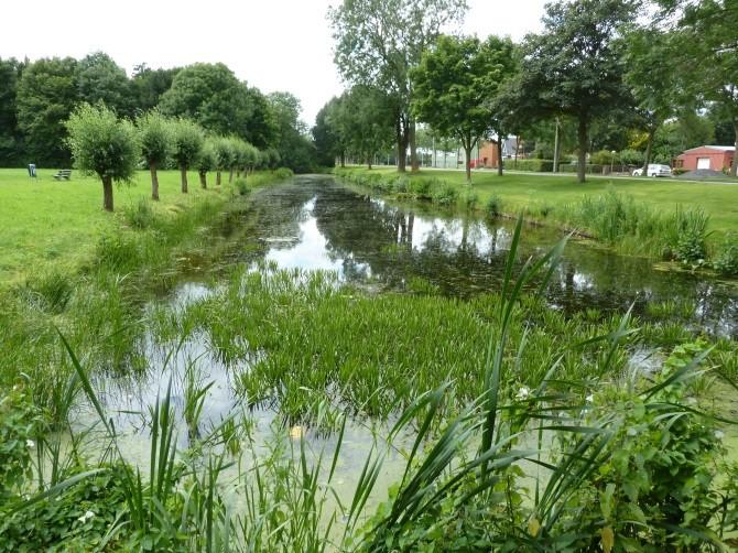 Krabbenscheer verwijderd en verdwenen in Veendam t/m 2014. 1.