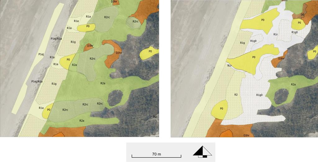 Ingreeplocatie 2 zuidelijk deel Vlakke zeereeptop. Ingreep: verwijderen helm en bodem een aanbrengen van enkele natuurlijke golvingen.