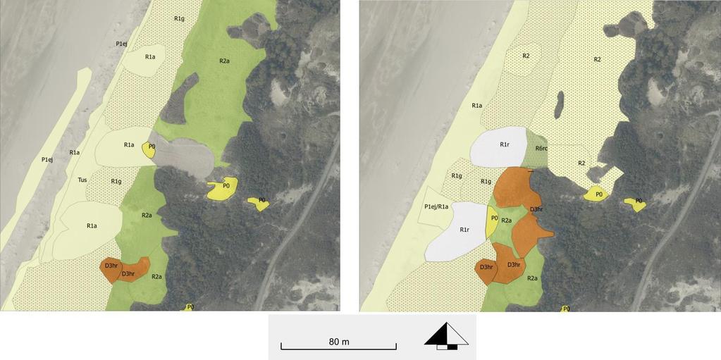 Ingreeplocatie 7 Deels vlakke zeereep met nog enige dynamiek aan achterzijde. Ingreep: verwijderen van helm en bodem in 2 banen rondom hogere punt aan achterzijde, aansluiten op natuurlijk reliëf.