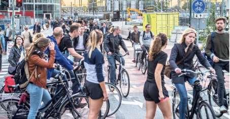 Nachtegaalstraat is al drukste route van Nederland.