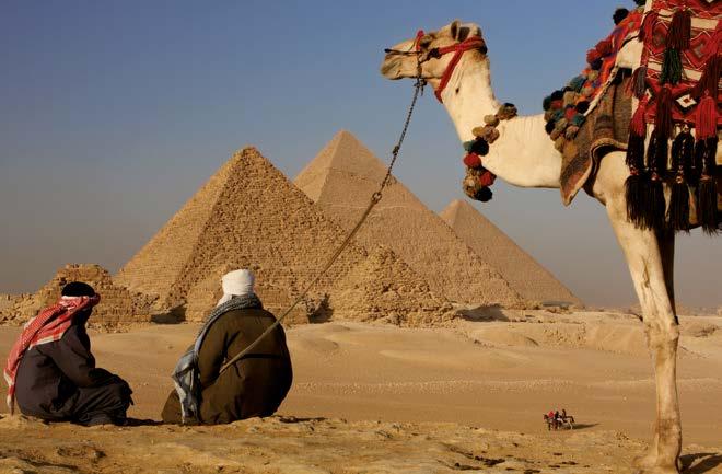 Imagine Egypt 10-daagse klassieke rondreis met Cairo en de Nijl. Memfis Sakkara Caïro Luxor Edfu Kom Ombo Aswan Dag 1 vrijdag: Brussel - Caïro Vertrek vanuit Brussel naar Caïro.