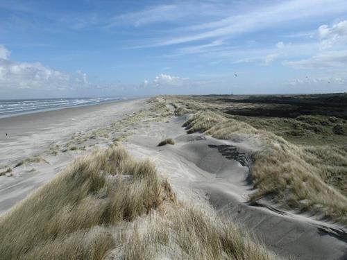 Baltische en Noordzeekust in Europa. Dit zijn de zogenaamde grijze duinen, die meer landinwaarts liggen dan de met Helm begroeide witte duinen (habitattype 2120) 5.
