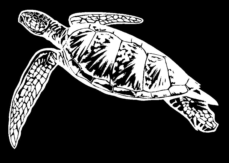 In hetzelfde biotoop zijn onder andere hutia s en een bijzonder neushoornleguanen te vinden. Veel aandacht wordt besteedt aan de groene zeeschildpad.