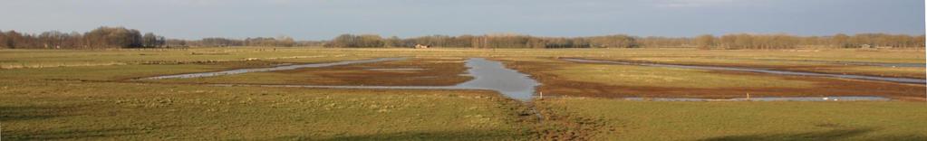 De huidige slenken in het Ottershagen maken plaats voor een plas-dras inrichting Ottershagen In januari is er een werkgroep opgericht die het proces, om van Ottershagen een begrensd weidevogelgebied