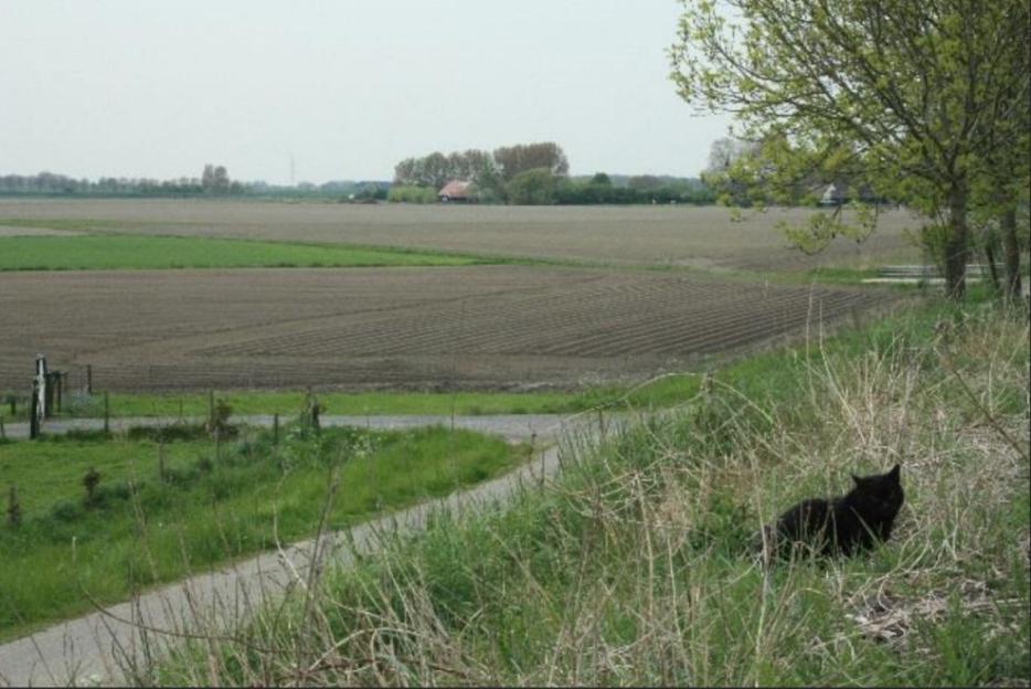 2 Locatiekeuze wetland 2.