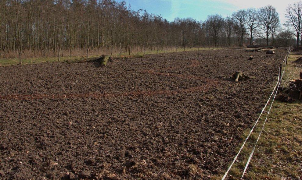 aantal bomen gekapt en in blokken