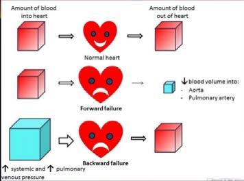 normale vullingsdrukken van het hart Wanneer een diureticum starten?