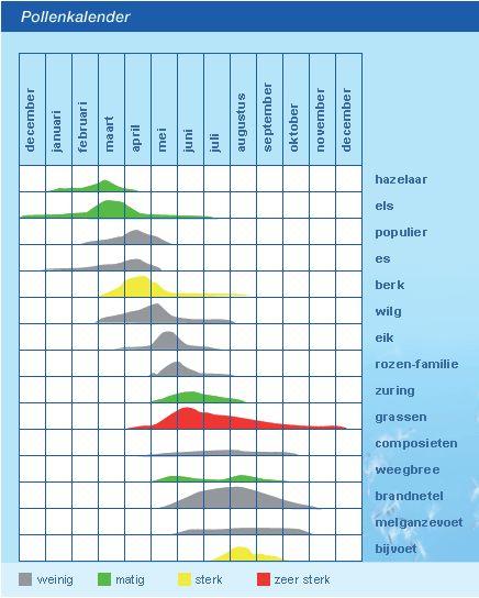 Afbeelding 1: pollenkalender Overige oorzaken allergische rhinitis Er zijn echter ook veel kinderen die neusklachten hebben terwijl ze niet worden blootgesteld aan het allergeen waar ze allergisch