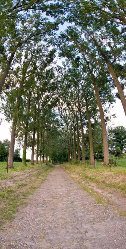 wonen Wonen in riemst Riemst Onder de kerktoren, met de stad in de achtertuin In Riemst wonen we met zijn allen onder de kerktoren. 16200 inwoners, 6882 gezinnen, 13 dorpen.