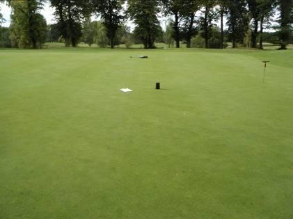 Ongunstig voor de grasmat en van invloed op (de samenstelling) van het grasbestand zijn onder meer : directe schaduw veroorzaakt door omliggende beplanting en solitaire bomen verminderde ventilatie