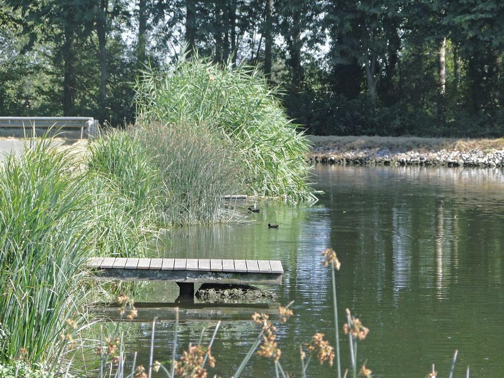 Recreatie op het Kanaal Leuven-Dijle een nieuwe bestemming Op recreatief vlak heeft het Kanaal Leuven-Dijle