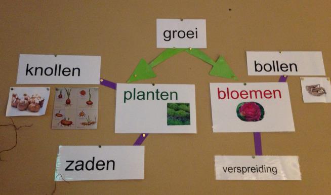 van  De groepen 3 leren van alles over uitvinden en de groepen 4