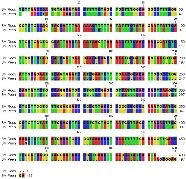 Bijlage 4 DNA sequenties Black Mold A) Roos TCTTAACCCATGTGACATACCTTTTCTAGCTGCTTTGGCAGGCCTTTCGGGGTCTGCCAGTAGCATTTAAAAACTTTTTATATTTCT