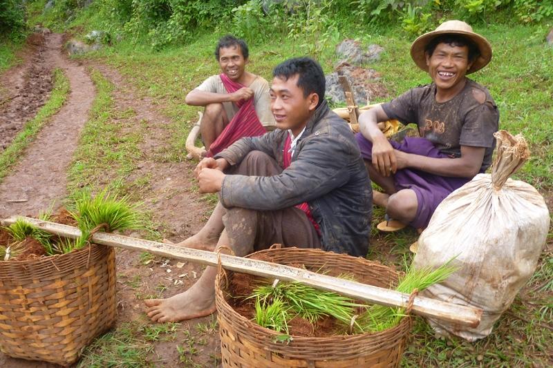 Onderweg trek je veel bekijks en vertelt de lokale gids meer over de traditionele gebruiken van de inwoners. In de omgeving wordt 'tanapet' verbouwd, de grondstof voor het maken van de lokale sigaren.