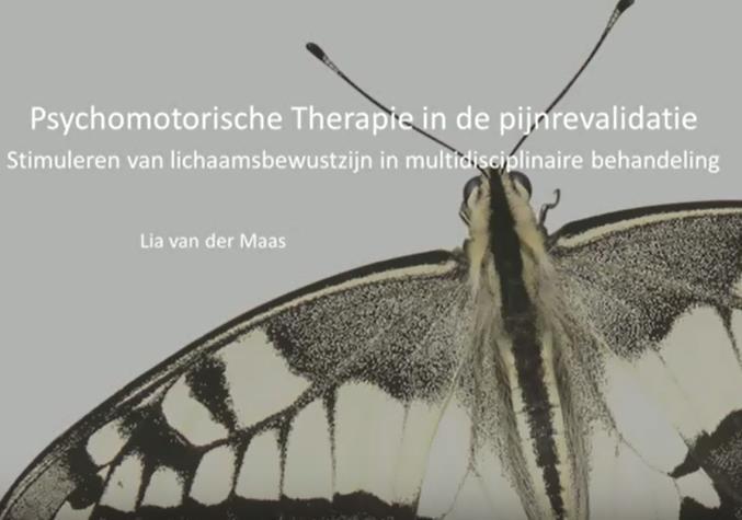 eetstoornissen Lia van der Maas (2015; VU, Reade revalidatie en Windesheim) Een PMT-interventie gericht op vergroten van lichaamsbewustzijn als aanvulling op een