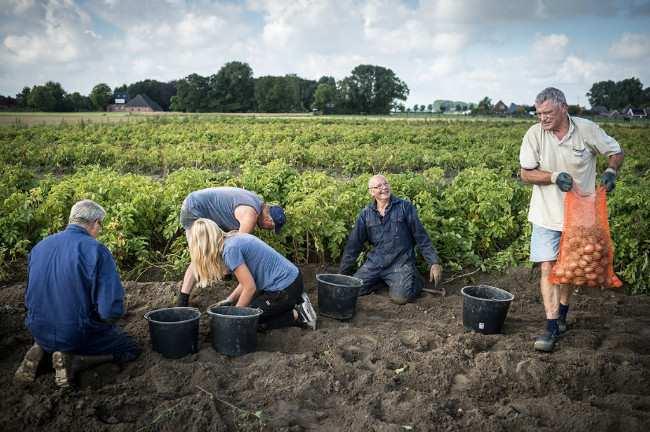 pagina 3 van 6 Denktank K6, Renaissance en P10 samen sterker De P10 is gebaseerd op twee pijlers; kennisdeling en lobby.