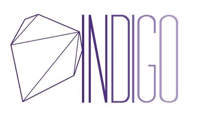 INDIGO staat voor Inzetten op Diversiteit in Grootstedelijk Onderwijs. Indigo is een project van de Associatie KU Leuven dat inzoomt op stages in Brusselse scholen.