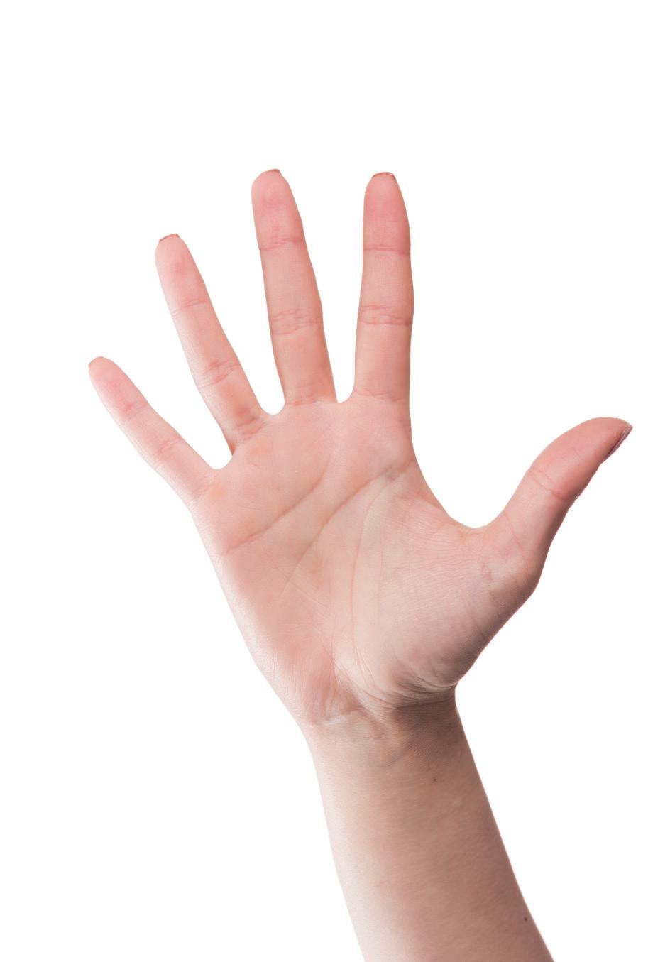 UW HANDEN ZIJN ONVERVANGBAAR! De menselijke hand is het belangrijkste lichaamsdeel om fysiek een omgeving mee te manipuleren.