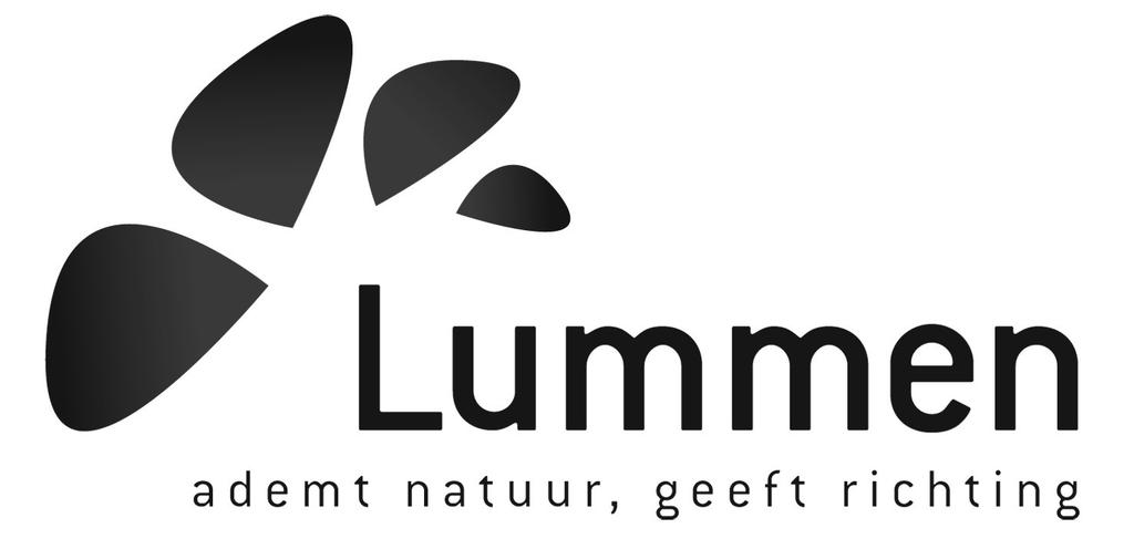 INLICHTINGENFORMULIER VASTGOEDINFORMATIE DOSSIERNUMMER: N2018-00155 GEMEENTE: Lummen, Dienst Ruimtelijke Ordening, Gemeenteplein 13, 3560 Lummen.