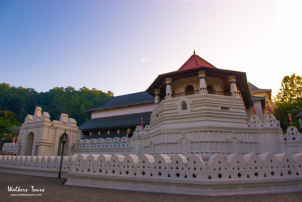 s avonds verkennen we Kandy met een bezoek aan de tempel van de tand en het marktplein.