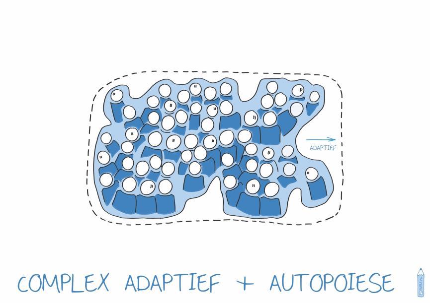 17 Complex-adaptieve-systeembenaderingen Het systeem is een geheel dat zichzelf organiseert CAS: vermogen tot zelforganisatie/ onder gunstige condities emergeren organiseerpatronen