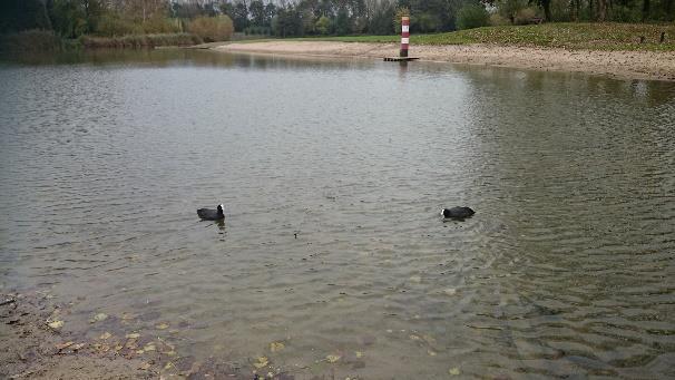 Er waren geen vissers en het is onbekend of er veel vis aanwezig is in de plas. Het water zag er helder en schoon uit.