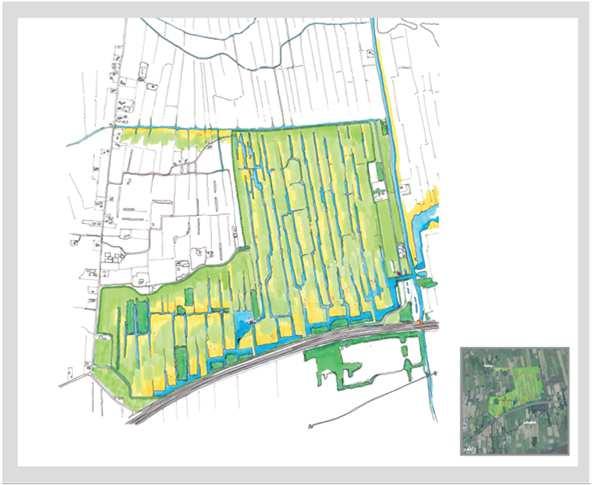 De Gebieden De Drie Polders Natuur: Het streefbeeld voor natuur