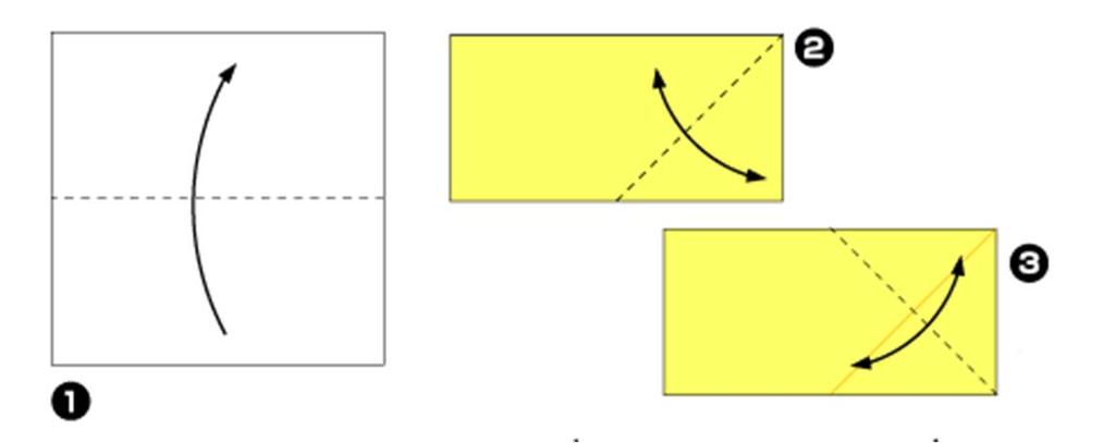 STER 1 (eenvoudig) Het knippen van een perfecte 5 puntige ster. Vouw heel zorgvuldig en maak goede scherpe vouwen 1 Vouw het blaadje dubbel 2 Dichte kant onder.