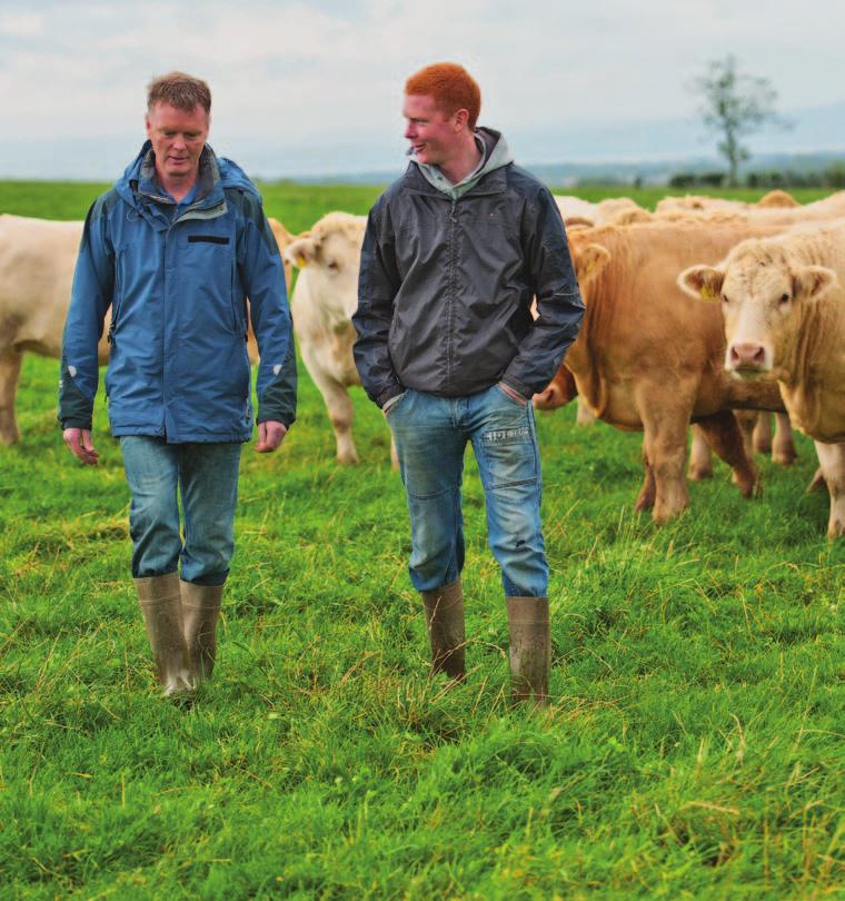 Cattleman s is afkomstig van een selecte groep toegewijde en continentale veehouders, waarvan het land zich over de gehele karakteristieke noordkust van Ierland uitstrekt.