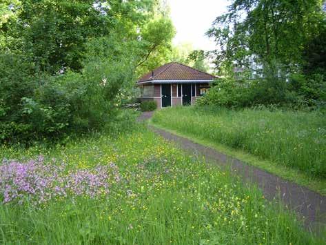 Het infocentrum Heempad in lente en herfst stuk grond tot mijn beschikking en mocht experimenteren, welke planten ga je toepassen... en hoe ga je het doen. Het is hier zo n typische jaren 70 wijk.