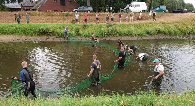 Water en vis Amper een week later was het raak in het uiterste oosten van ons gebied, waar het Waterschap Vechtstromen de noodklok luidde.