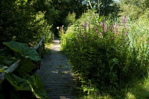 Wij gaan elke week een speeltuin af om te onderzoeken welke wij de beste vinden! Deze keer gaan wij naar speeltuin de Zalmplaat. VOL = VOL!