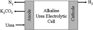 Figuur 6. 1: Productie van waterstof uit ureum, (www.rsc.org). 6.2 Toepassingen Nadat de urine ontdaan is van schadelijke pathogenen kan de urine direct gebruikt worden in de landbouw, aquacultuur, bij compostering of in industriële waterzuiveringen.