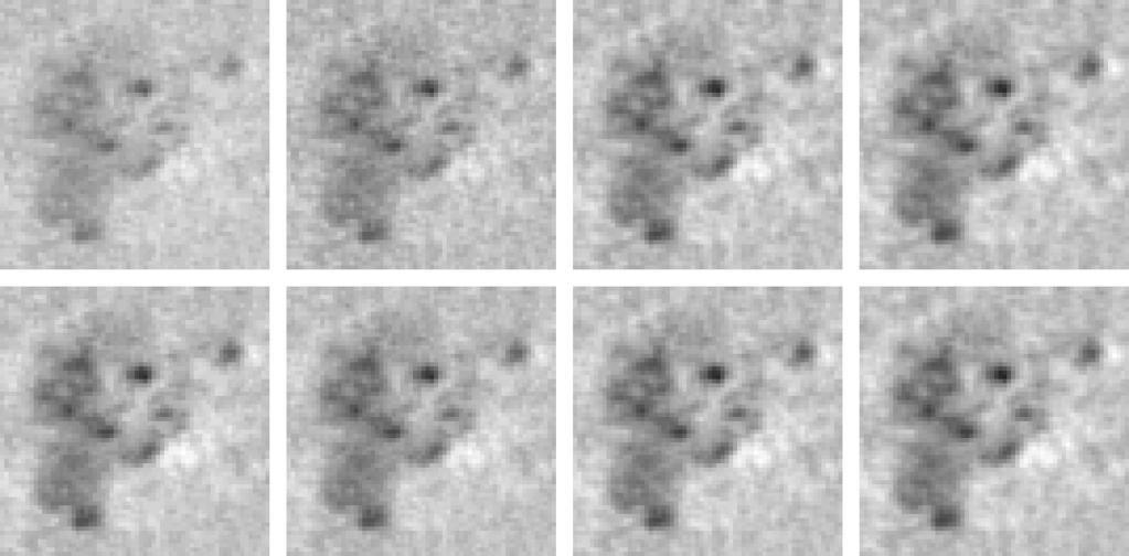 right) MLTR pr, OSTR r (5), OSTR r (12), and OSTR r (25). Figure 5.